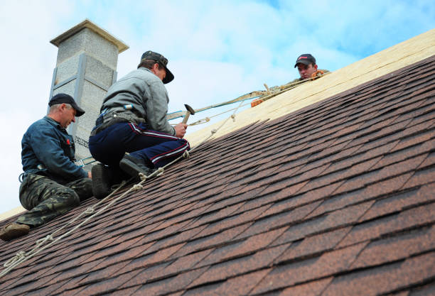 Best Metal Roofing Contractor  in Columbia, TN